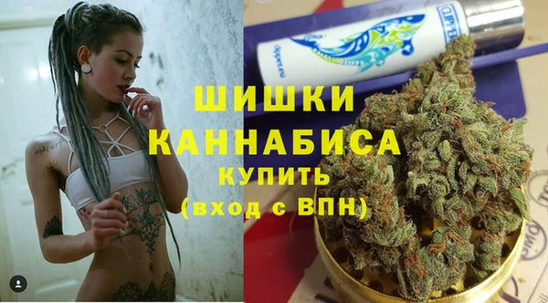 трава Аркадак