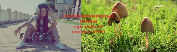 синтетический гашиш Арсеньев